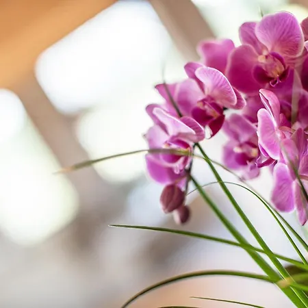 Apart Otel Gotthard - Fine Living Seefeld in Tirol