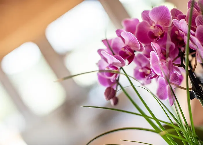 Aparthotel Gotthard - Fine Living Seefeld in Tirol