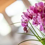 Lejlighedshotel Gotthard - Fine Living Seefeld in Tirol